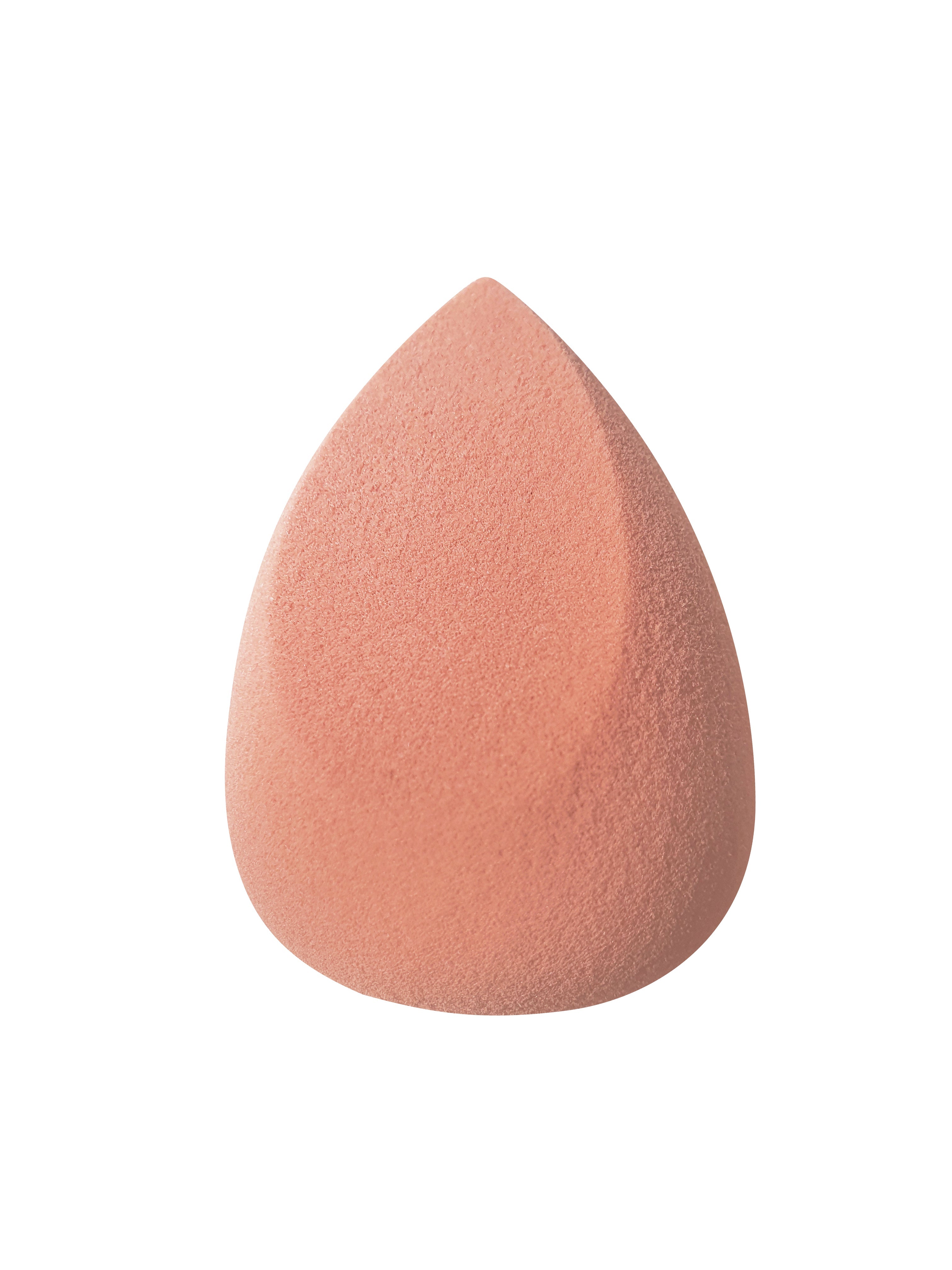 SLANTED EVERGLAM SPONGE